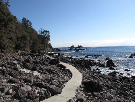 20190118hike (57)